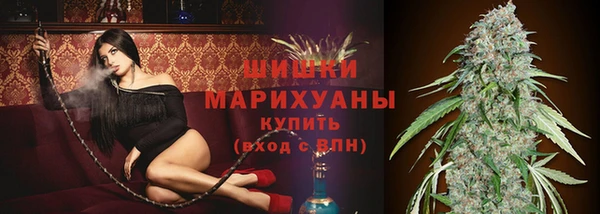 прущие крисы Арсеньев