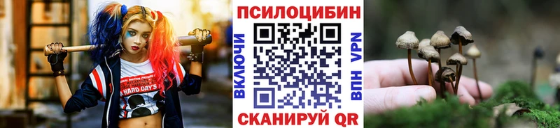 Псилоцибиновые грибы прущие грибы  МЕГА ССЫЛКА  Сураж 